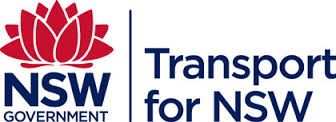 Organiser Logo