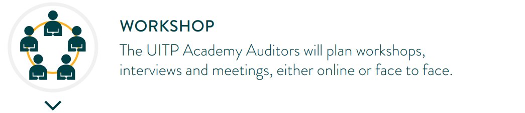 Workshop: The UITP Academy Auditors will plan workshops, interviews and meetings, either online face to face.